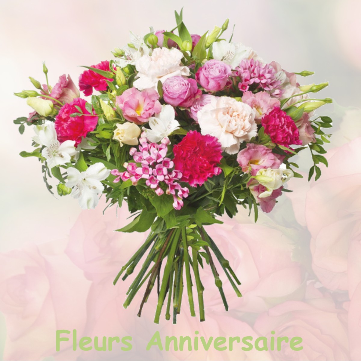 fleurs anniversaire CABRIERES-D-AIGUES